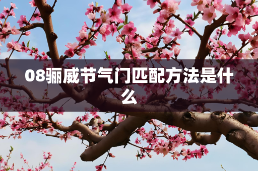 08骊威节气门匹配方法是什么