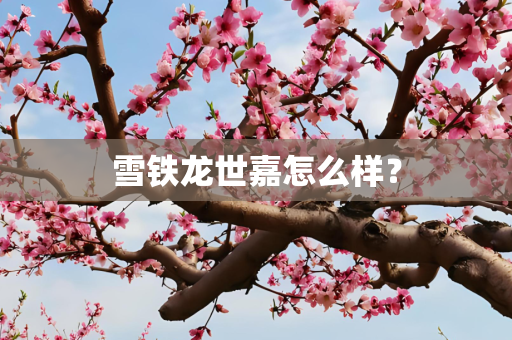 雪铁龙世嘉怎么样？