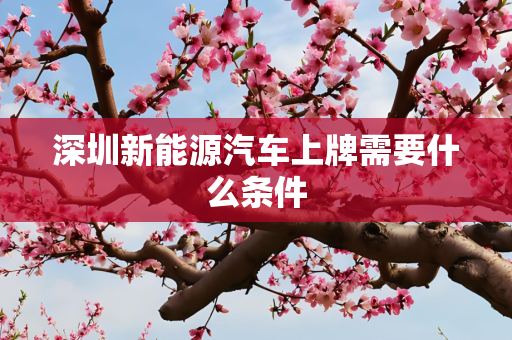 深圳新能源汽车上牌需要什么条件