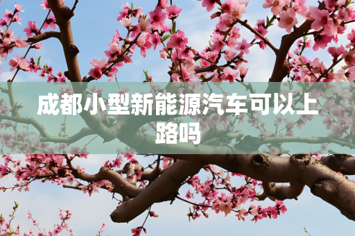 成都小型新能源汽车可以上路吗