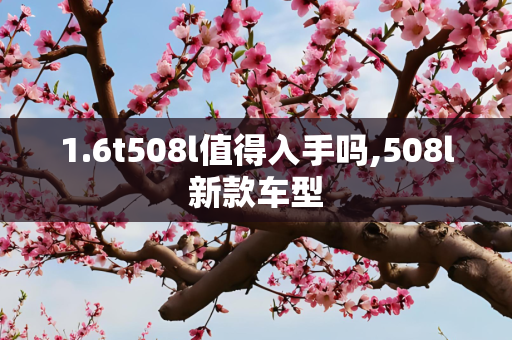 1.6t508l值得入手吗,508l新款车型