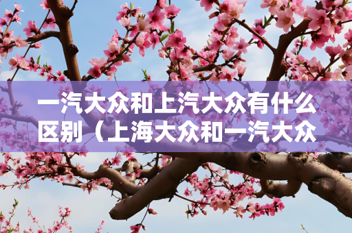 一汽大众和上汽大众有什么区别（上海大众和一汽大众有什么区别）