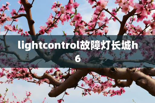 lightcontrol故障灯长城h6
