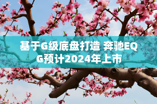基于G级底盘打造 奔驰EQG预计2024年上市