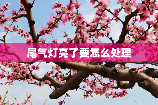 尾气灯亮了要怎么处理