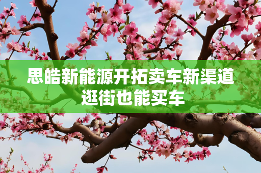 思皓新能源开拓卖车新渠道 逛街也能买车