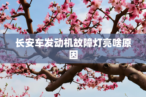 长安车发动机故障灯亮啥原因