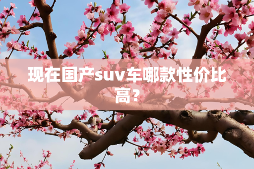 现在国产suv车哪款性价比高？