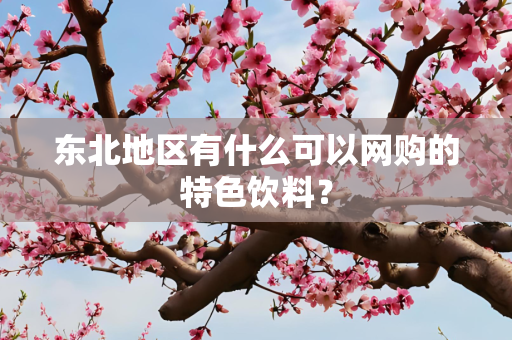 东北地区有什么可以网购的特色饮料？