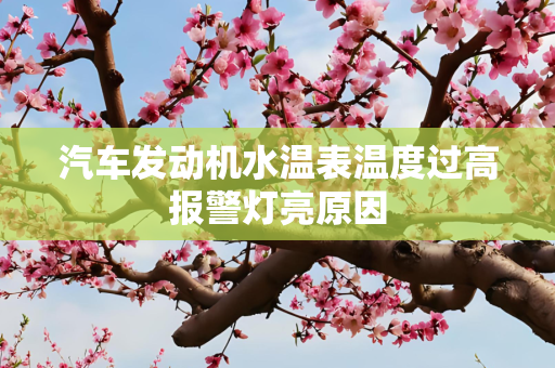 国际 第255页