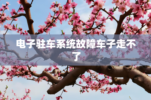 电子驻车系统故障车子走不了