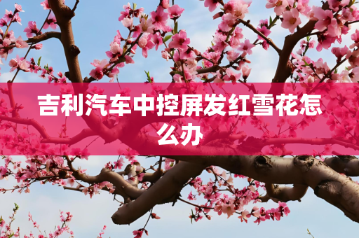吉利汽车中控屏发红雪花怎么办