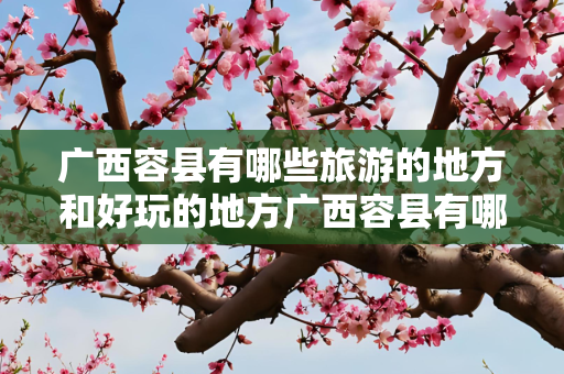 广西容县有哪些旅游的地方和好玩的地方广西容县有哪些好玩的地方？