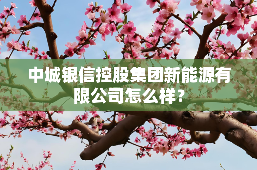 中城银信控股集团新能源有限公司怎么样？
