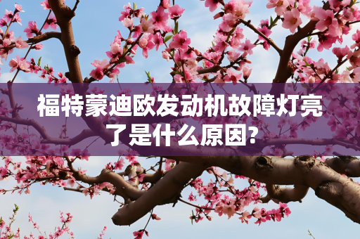 福特蒙迪欧发动机故障灯亮了是什么原因?