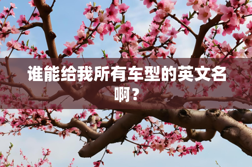 谁能给我所有车型的英文名啊？
