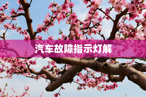 汽车故障指示灯解