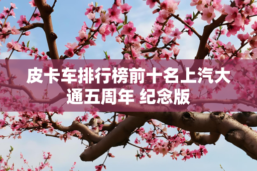 皮卡车排行榜前十名上汽大通五周年 纪念版