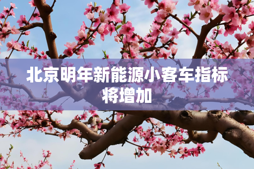 北京明年新能源小客车指标将增加