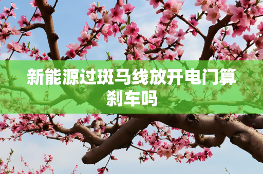 新能源过斑马线放开电门算刹车吗