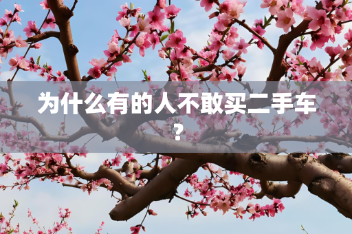 为什么有的人不敢买二手车？