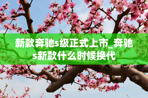 新款奔驰s级正式上市_奔驰s新款什么时候换代