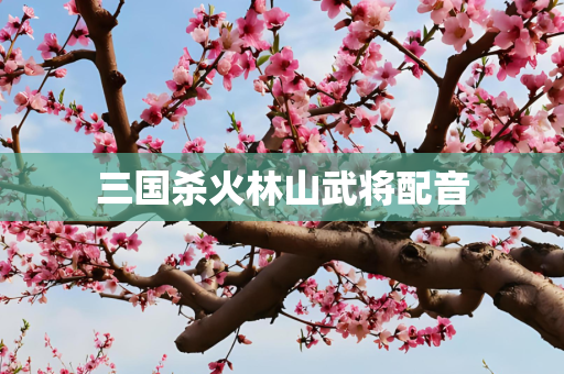 三国杀火林山武将配音