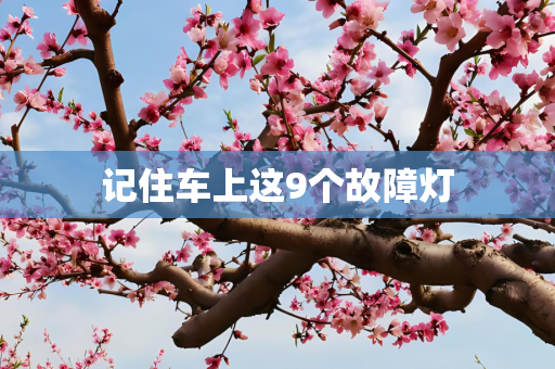 记住车上这9个故障灯