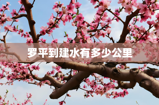 罗平到建水有多少公里