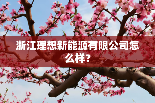 浙江理想新能源有限公司怎么样？