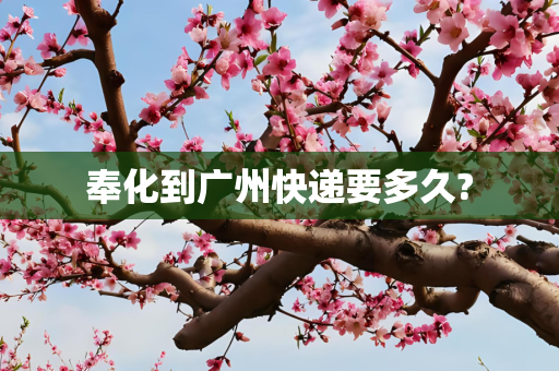 奉化到广州快递要多久?