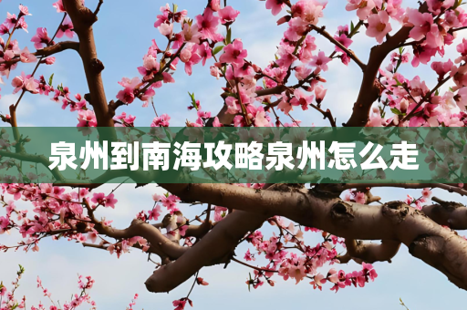 泉州到南海攻略泉州怎么走