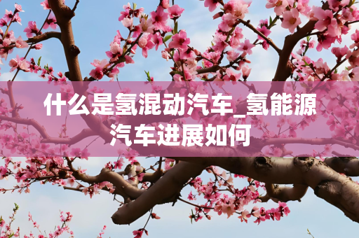 什么是氢混动汽车_氢能源汽车进展如何