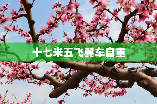 十七米五飞翼车自重