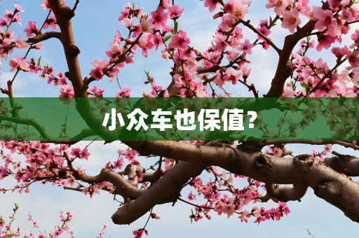 小众车也保值？