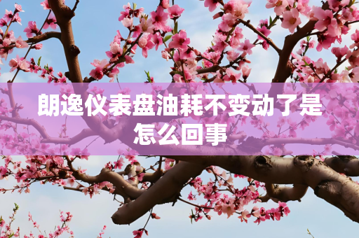 朗逸仪表盘油耗不变动了是怎么回事