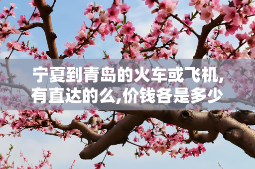 宁夏到青岛的火车或飞机,有直达的么,价钱各是多少?