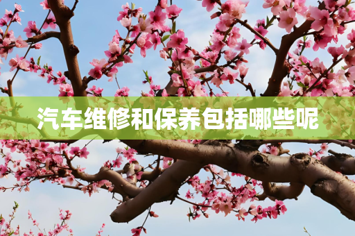 汽车维修和保养包括哪些呢