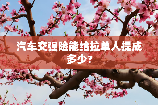 汽车交强险能给拉单人提成多少?