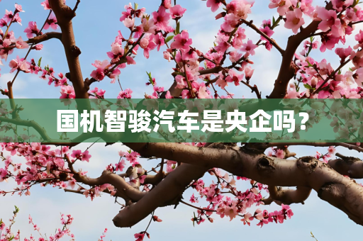 国机智骏汽车是央企吗？
