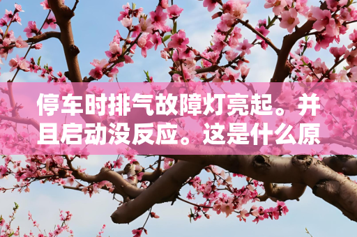 停车时排气故障灯亮起。并且启动没反应。这是什么原因？
