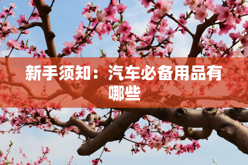 新手须知：汽车必备用品有哪些
