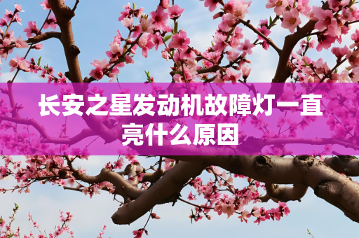 长安之星发动机故障灯一直亮什么原因