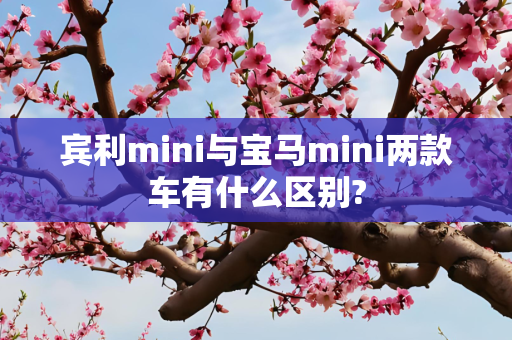 宾利mini与宝马mini两款车有什么区别?