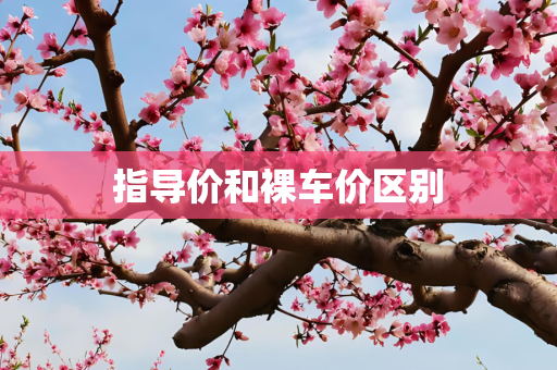 指导价和裸车价区别