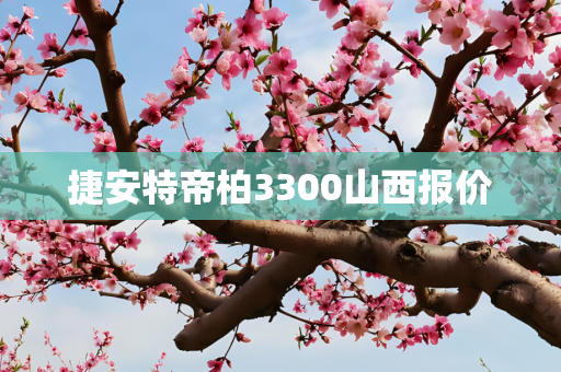 捷安特帝柏3300山西报价