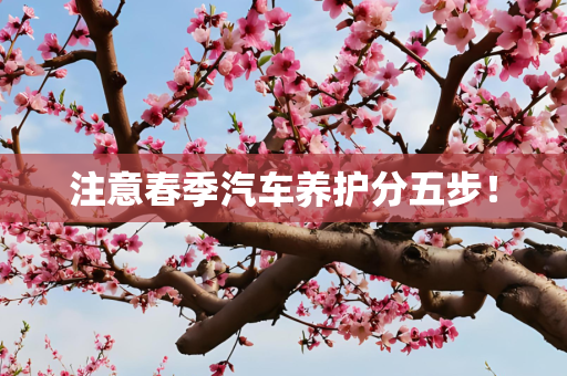 注意春季汽车养护分五步！