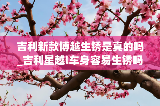 吉利新款博越生锈是真的吗_吉利星越l车身容易生锈吗