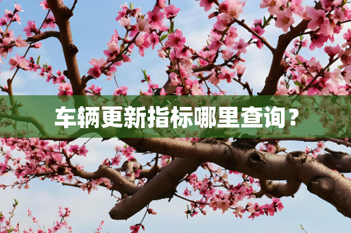 车辆更新指标哪里查询？