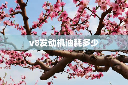v8发动机油耗多少